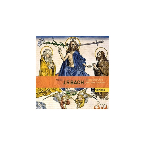 BACH: MOTETS