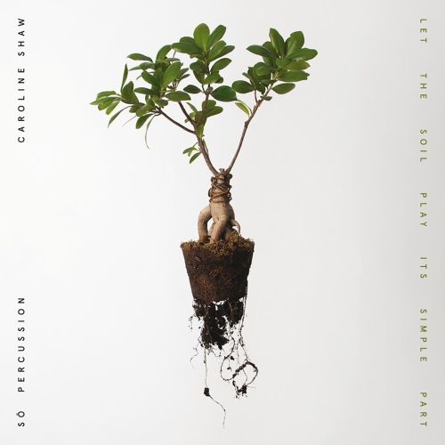 LET THE SOIL PLAY ITS SIMPLE PART (CLEAR VINYL)