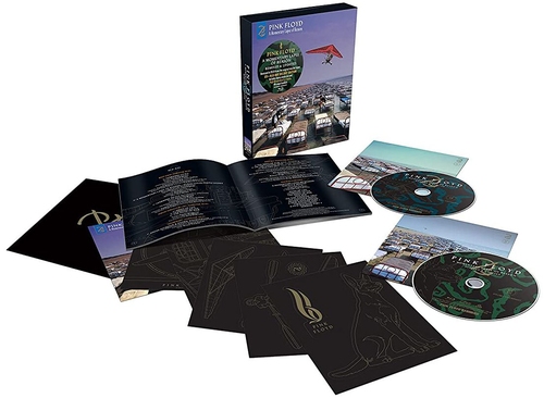 A MOMENTARY LAPSE OF REASON (LIMITED)