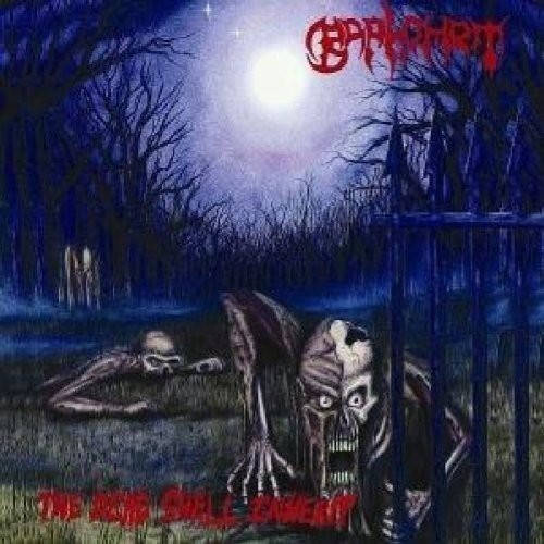 THE DEAD SHALL INHERIT (CD)