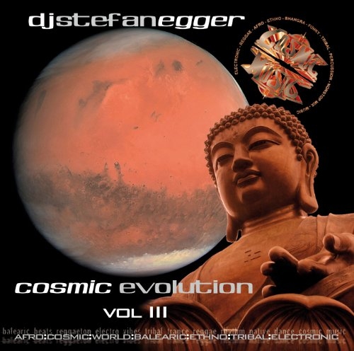 Cosmic Evolution Vol. 3