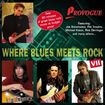 Where Blues Meets Rock Vii