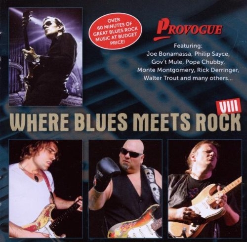 Where Blues Meets Rock Viii