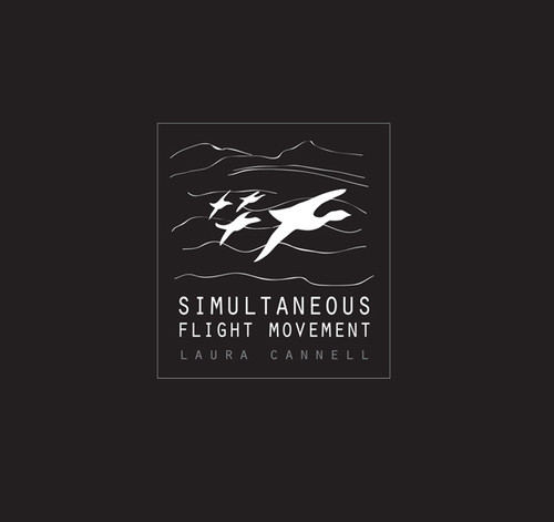 SIMULTANEOUS FLIGHT MOVEMENT