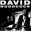 DAVID WOODCOCK