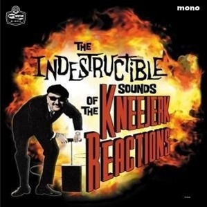 THE INDESTRUCTIBLE SOUNDS OF . . .