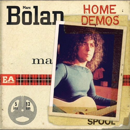 THE HOME DEMOS