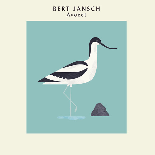 AVOCET (EXPANDED ANNIVERSARY EDITION)