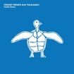 TURTLE DOVE