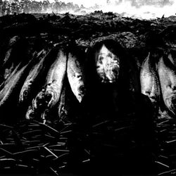 WE ARE THE PLAGUE