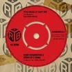 YOU REALLY GOT ME : EVERY SONG TELLS A STORY
