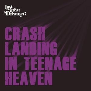 CRASH LANDING IN TEENAGE HEAVEN