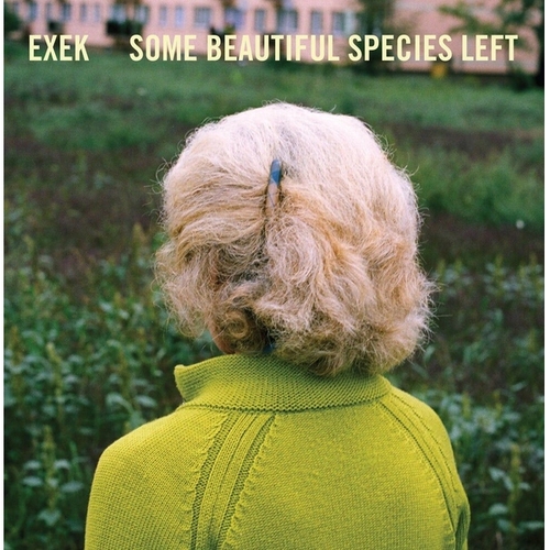 SOME BEAUTIFUL SPECIES LEFT