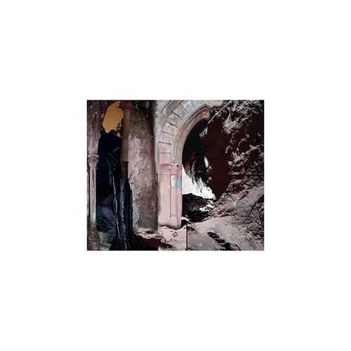 AFTERDREAM OF THE REVELLER