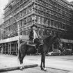 THE CRYSTAL COWBOY