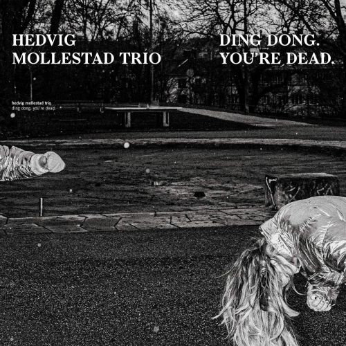 DING DONG. YOU´RE DEAD.