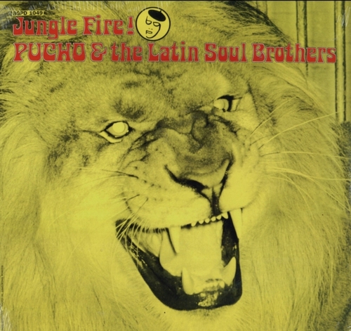 Jungle Fire