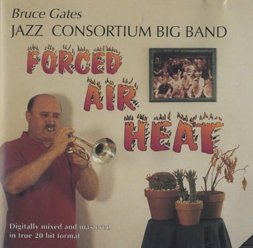 Forced Air Heat