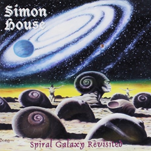 Spiral Galaxy Revisited