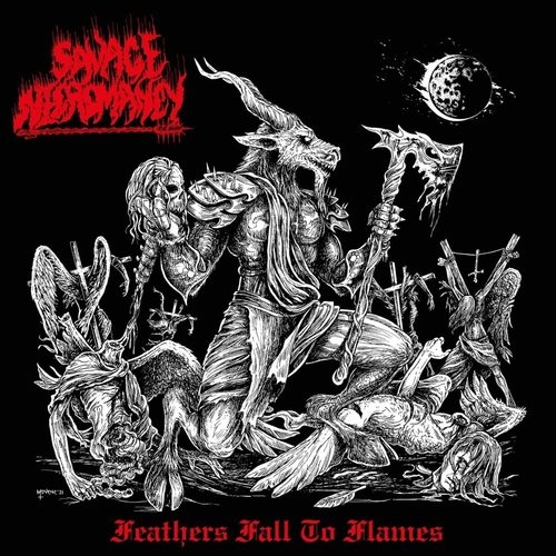 FEATHERS FALL TO FLAMES (BLACK VINYL)