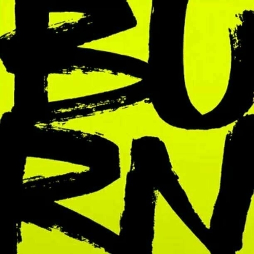 BURN THE EMPIRE (LIMITED) (INDIE EXCLUSIVE)