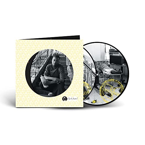 RETURN TO THE 36 CHAMBERS: THE DIRTY VERSION (PICTURE DISC) (RDS) (LIMITED)