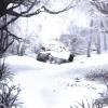 SZNZ: WINTER