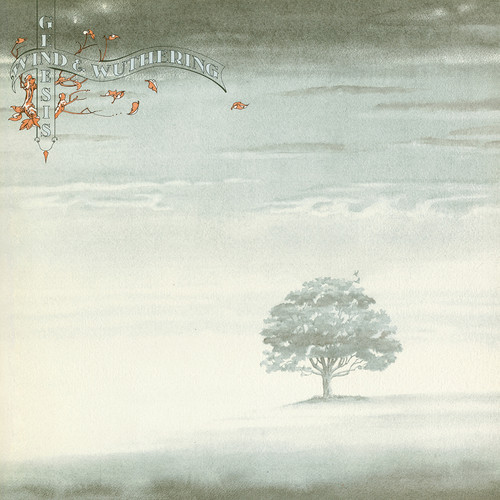 WIND & WUTHERING (180g)