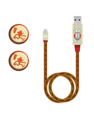 MERCHANDISE CRASH BANDICOOT 2020 LED CABLE AND GRIPS