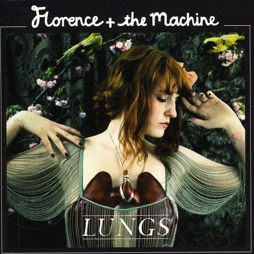 LUNGS