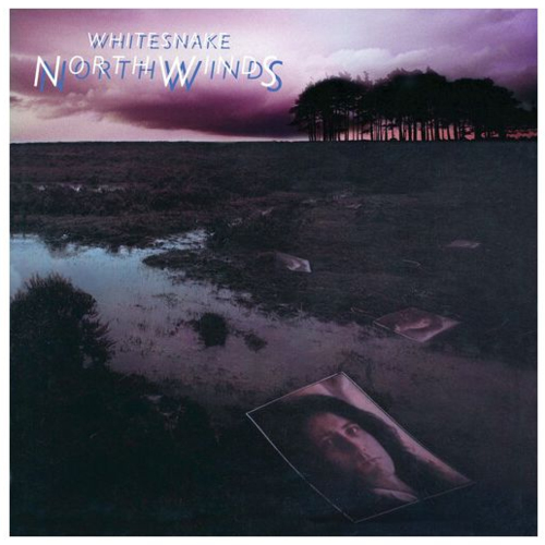 NORTHWINDS (BLACK ICE VINYL) (LIMITED) (ROCKTOBER)