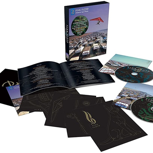 A MOMENTARY LAPSE OF REASON (LIMITED)