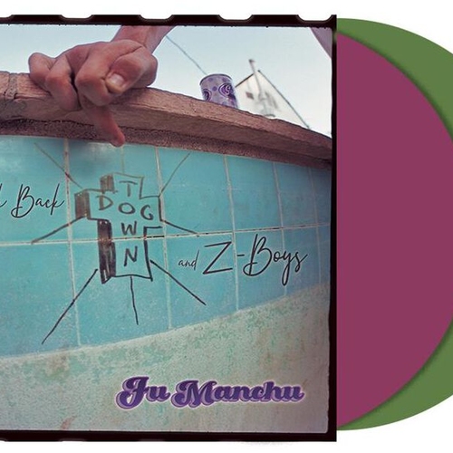 A LOOK BACK:DOGTOWN & Z BOYS