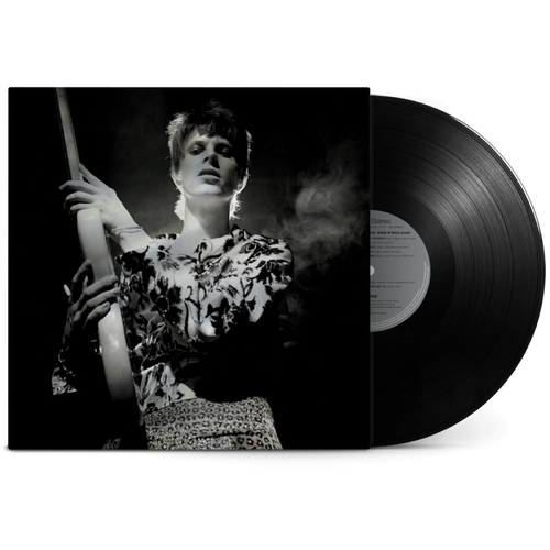 ROCK 'N' ROLL STAR (180g) (LIMITED)