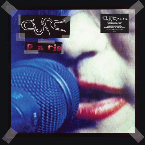 A DAY IN THE LIFE (25th ANNIVERSARY EDITION) (BLACK ICE VINYL)