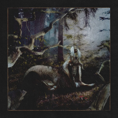 FEET OF CLAY (BLUE VINYL) (LIMITED) (BLACK FRIDAY)